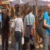 images/toepfermarkt2019/IMG_9183.jpg